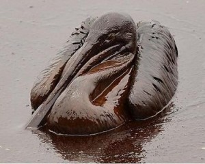 gulfspillimagecropped