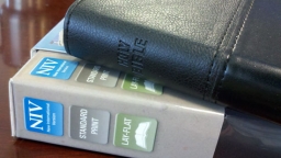 niv The 2011 NIV Bible was released in stores in March. The updated translation has drawn mixed reviews, with the latest criticism coming from the Southern Baptist Convention.